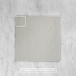 Astra Silver External
