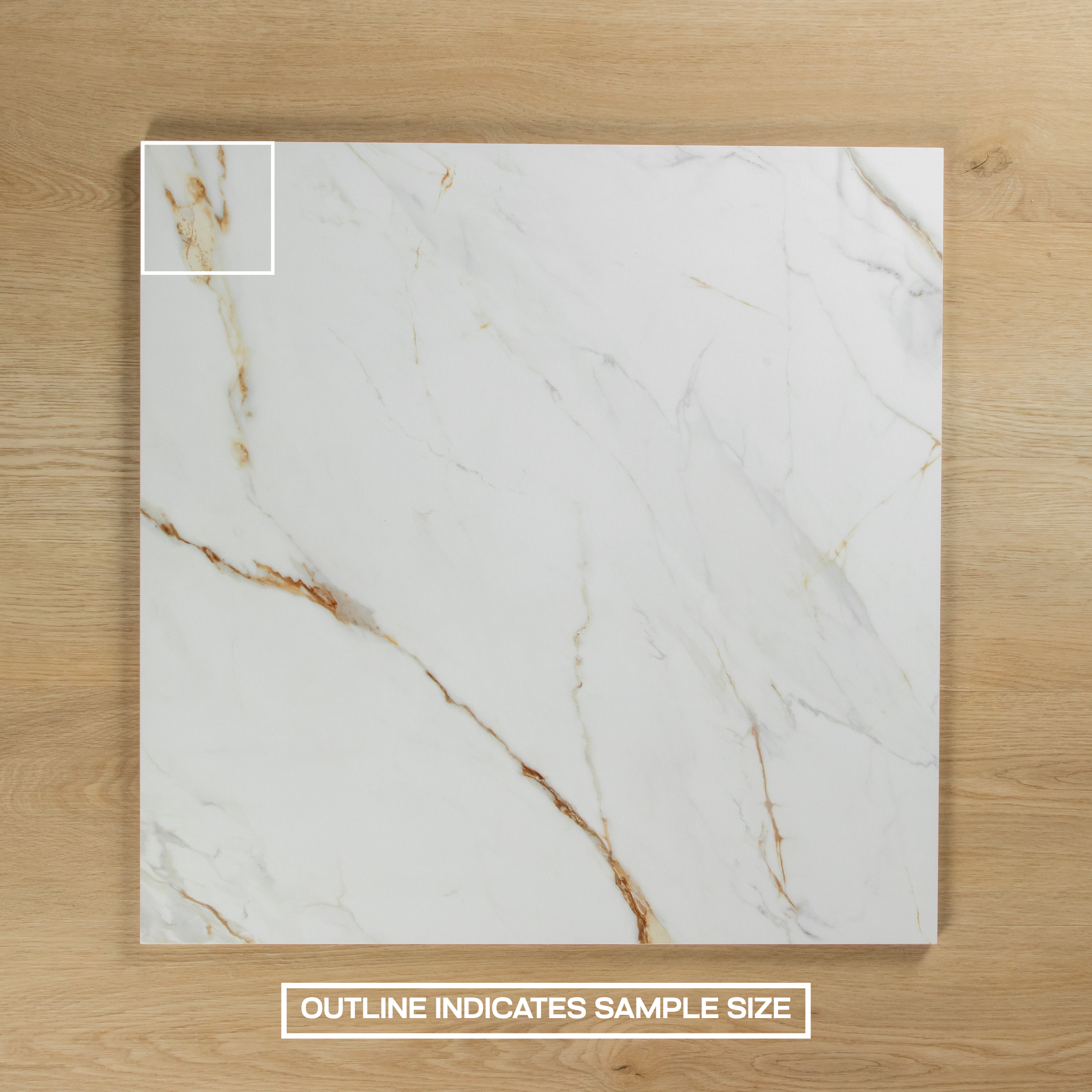 Calacatta Elche Vagli Polished