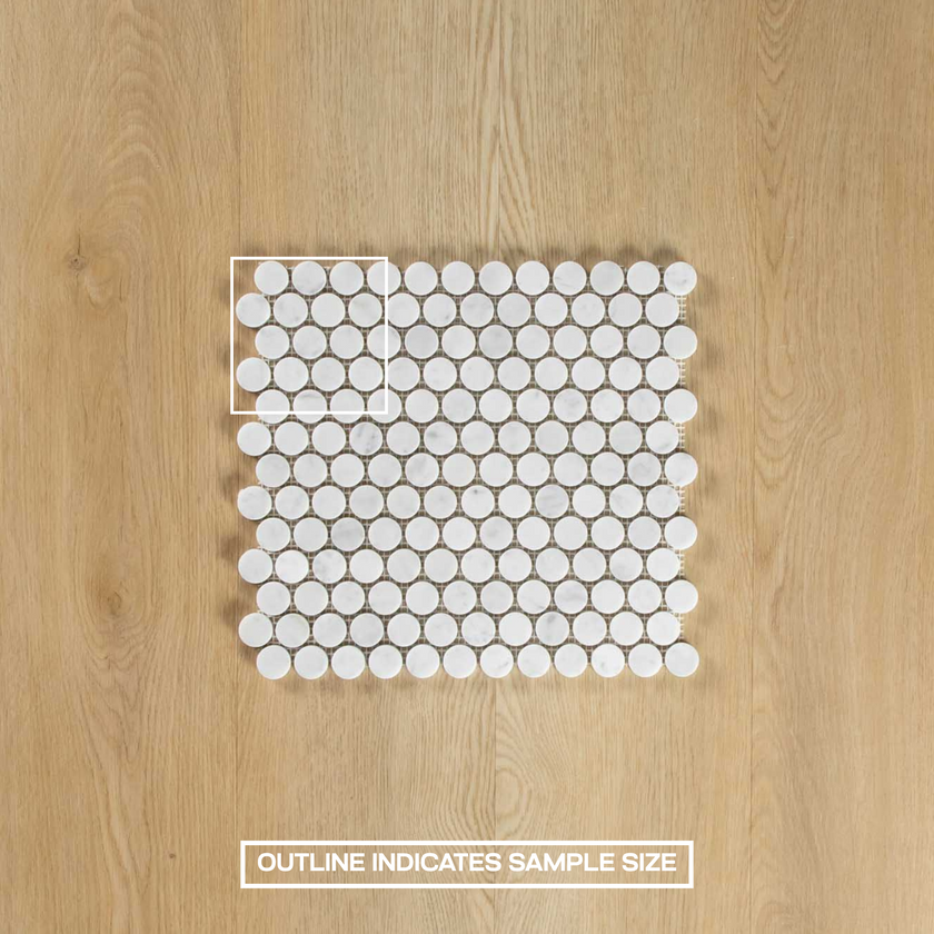 Carrara Marble Mosaic Penny Round Honed Mosaic
