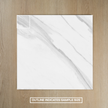 Calacatta Polished Rectified