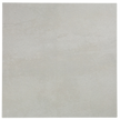 Astra Silver Matte