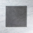 Astra Charcoal In Out