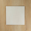 Astra White Matte