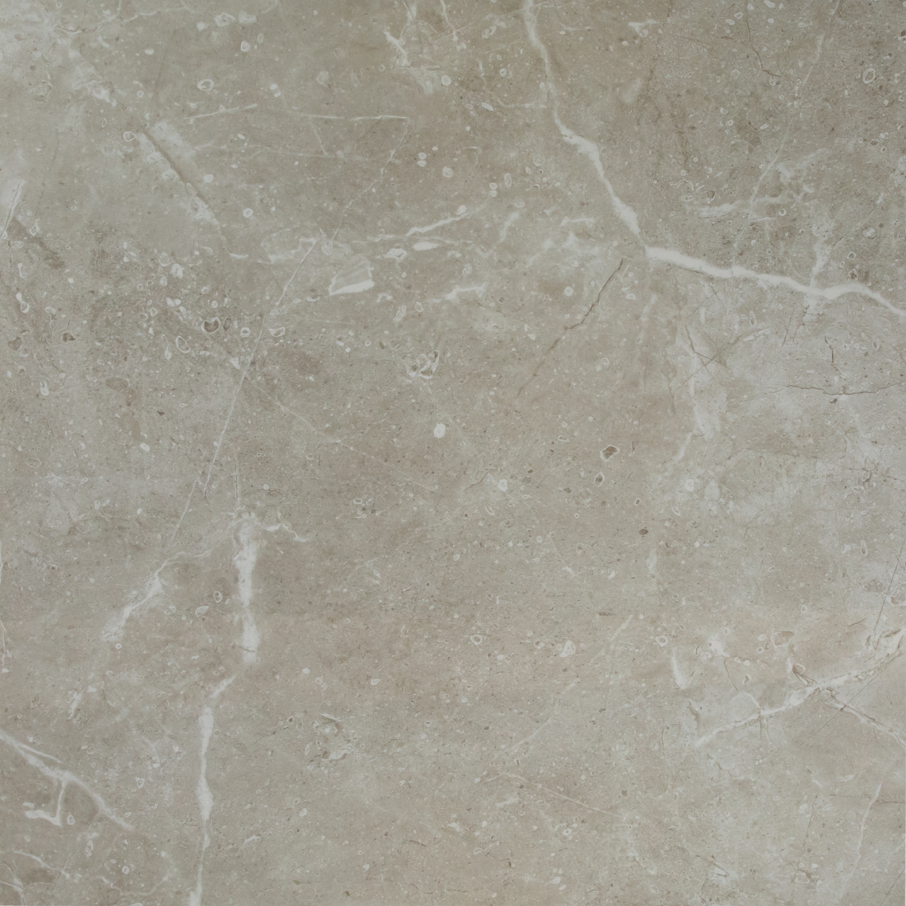 Bora Grey Polished