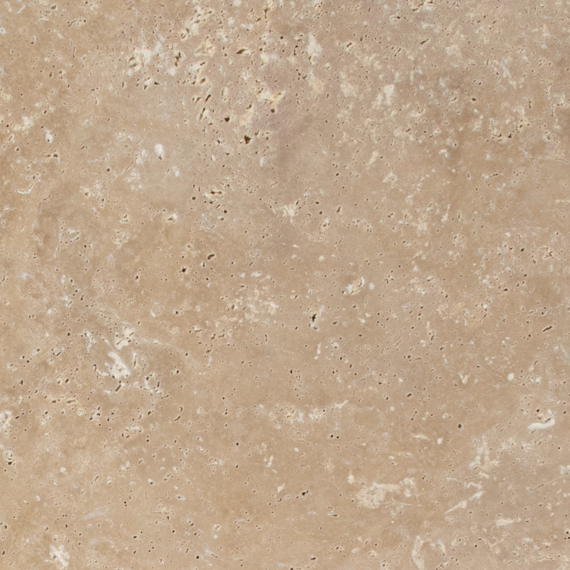 Travertine Latte