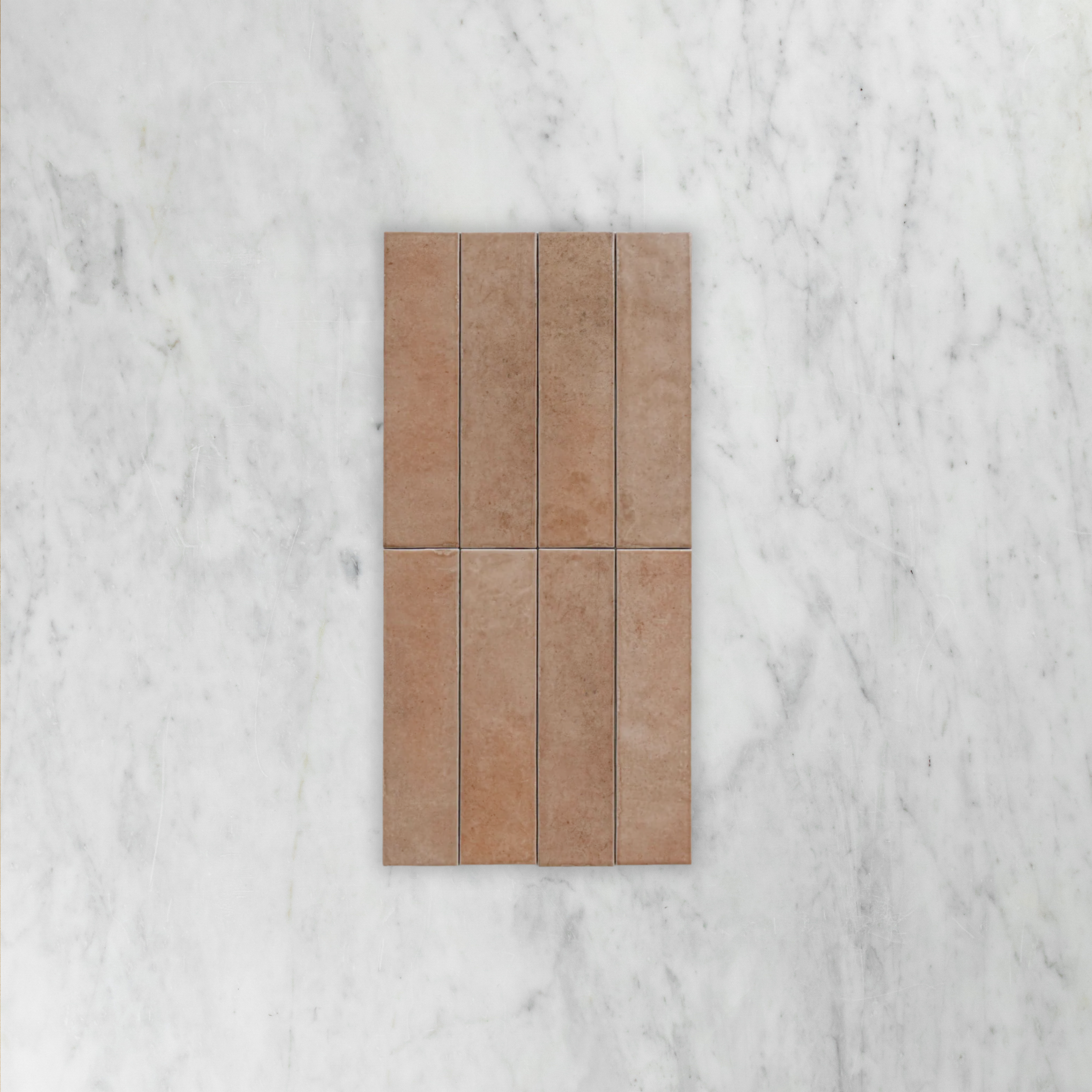 Bricks Cotto Glossy Subway