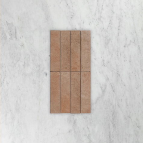 Bricks Cotto Glossy Subway