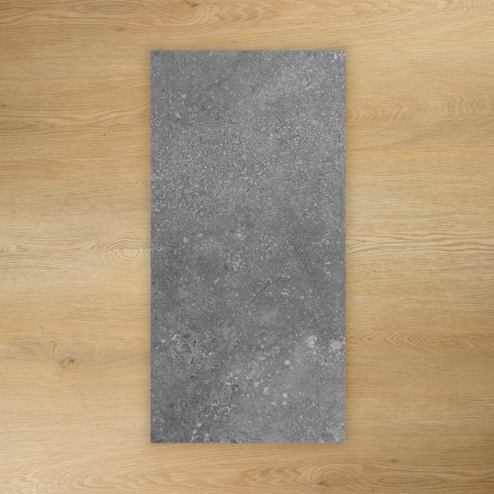 Dino Graphite In Out