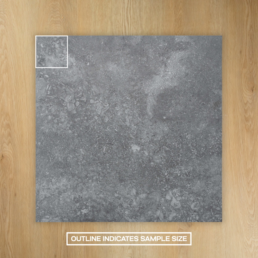 Dino Graphite In Out