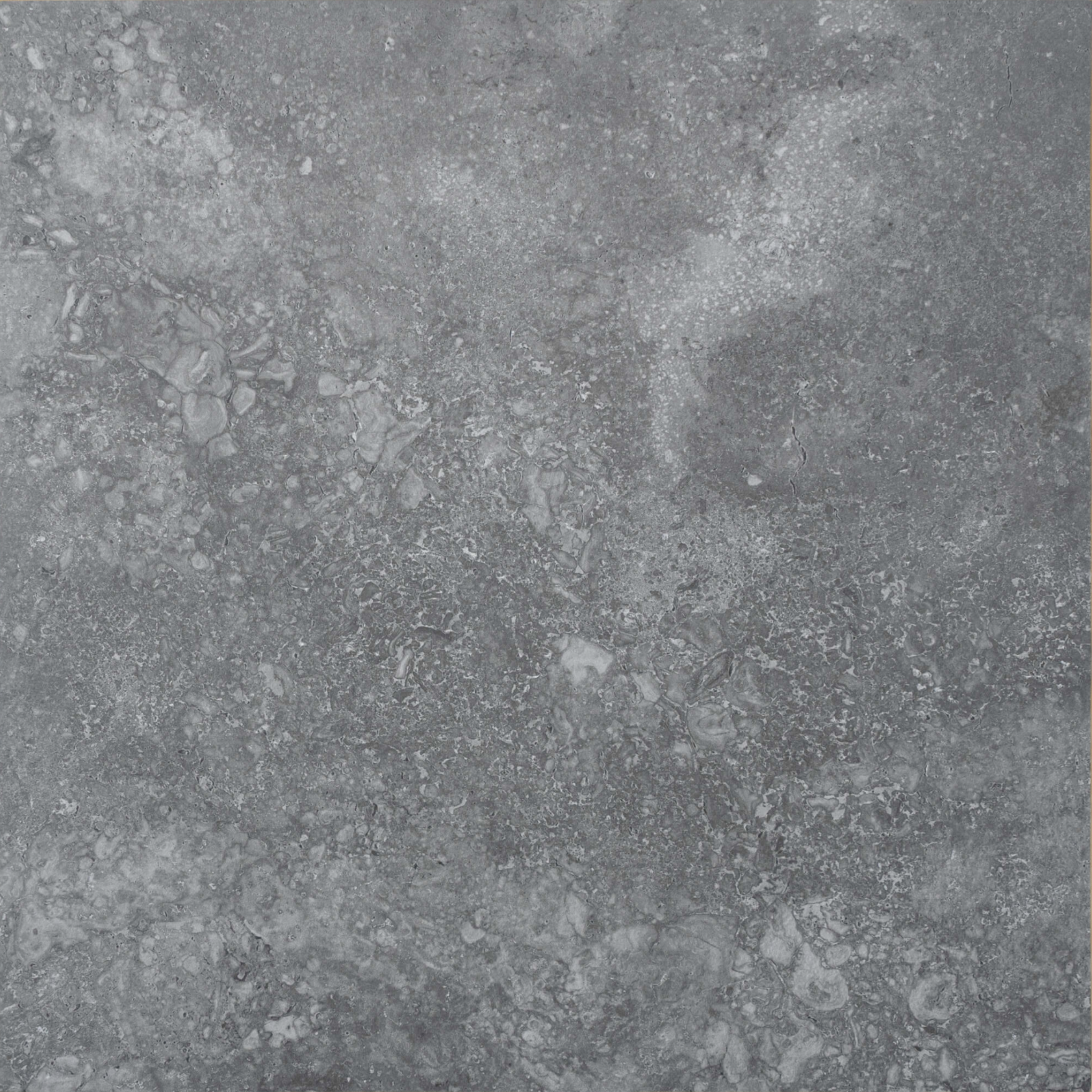 Dino Graphite In Out