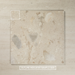 Focus Ivory Matte