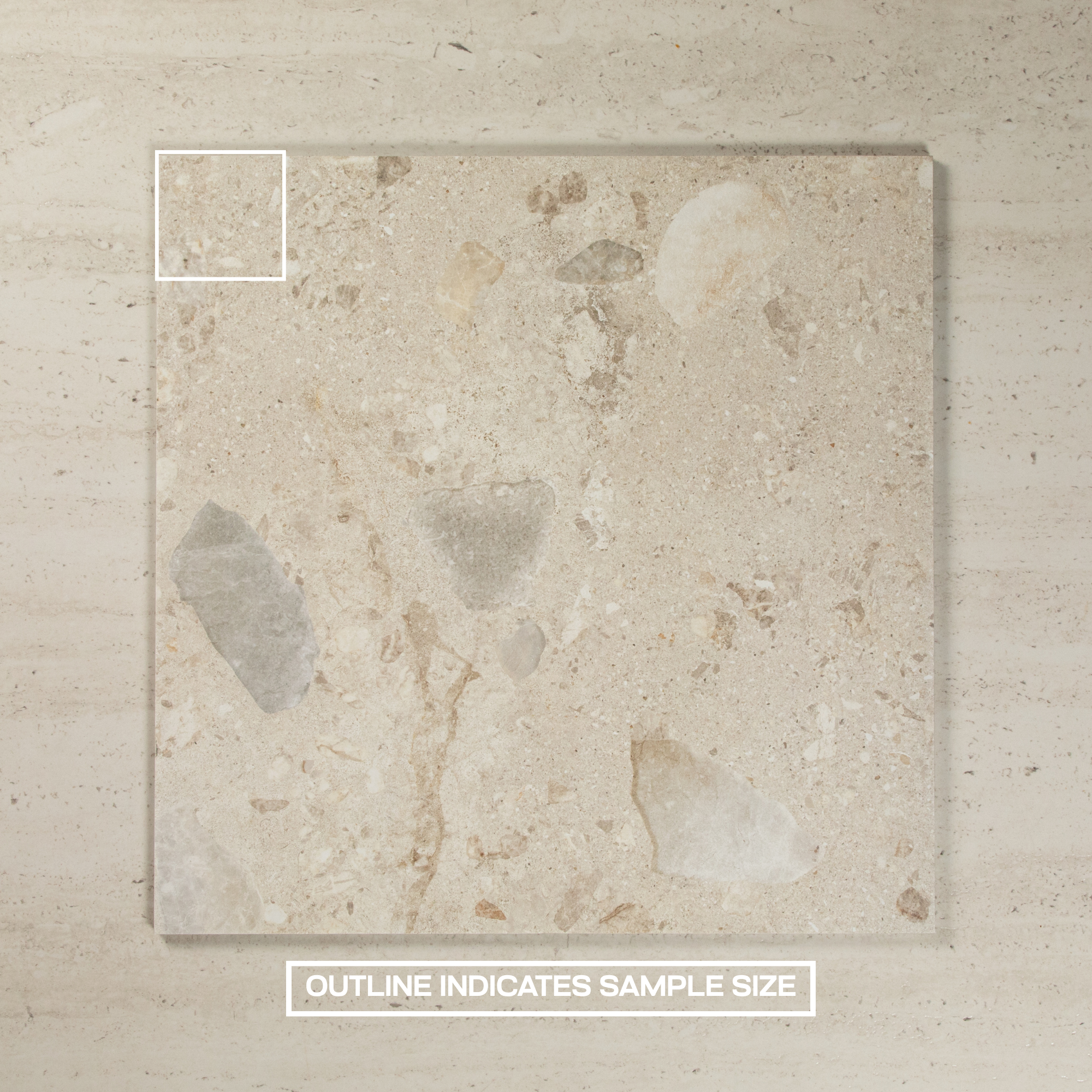 Focus Ivory Matte