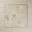 Focus Ivory Matte