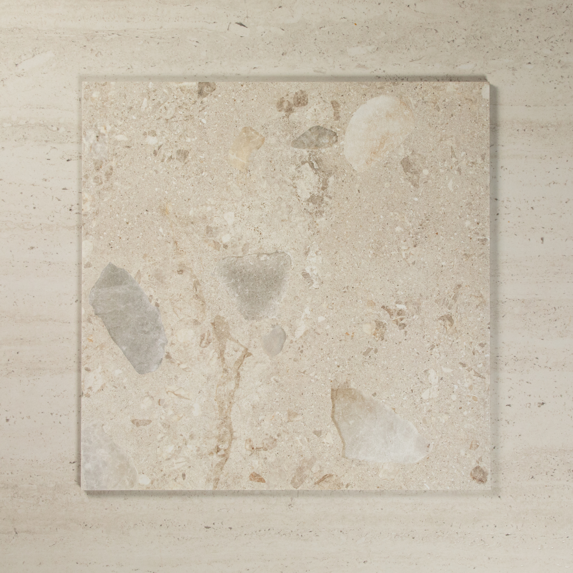 Focus Ivory Matte