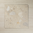 Focus Ivory Matte