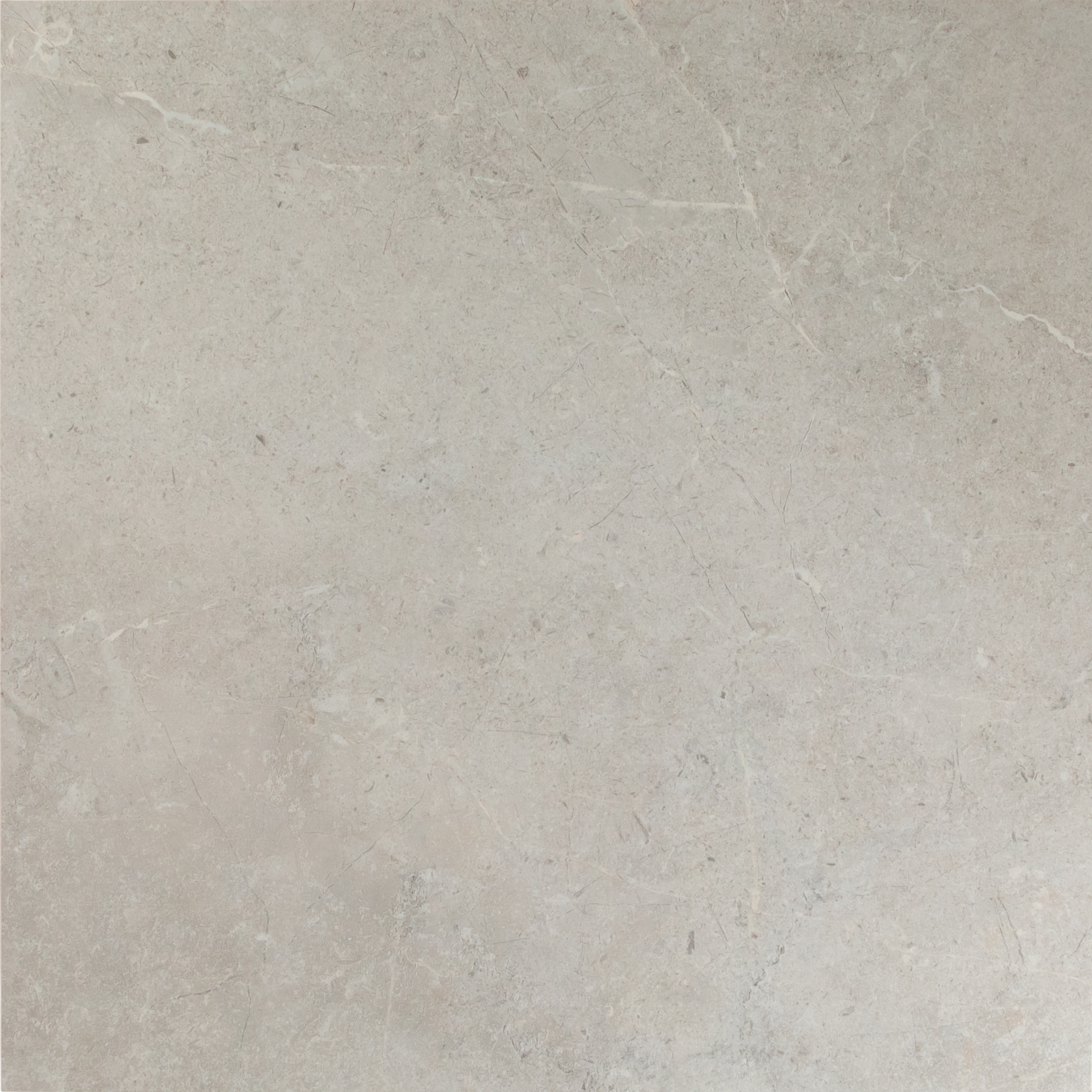 Julius Silver In Out