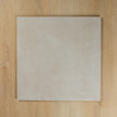 Lifestone White External Paver