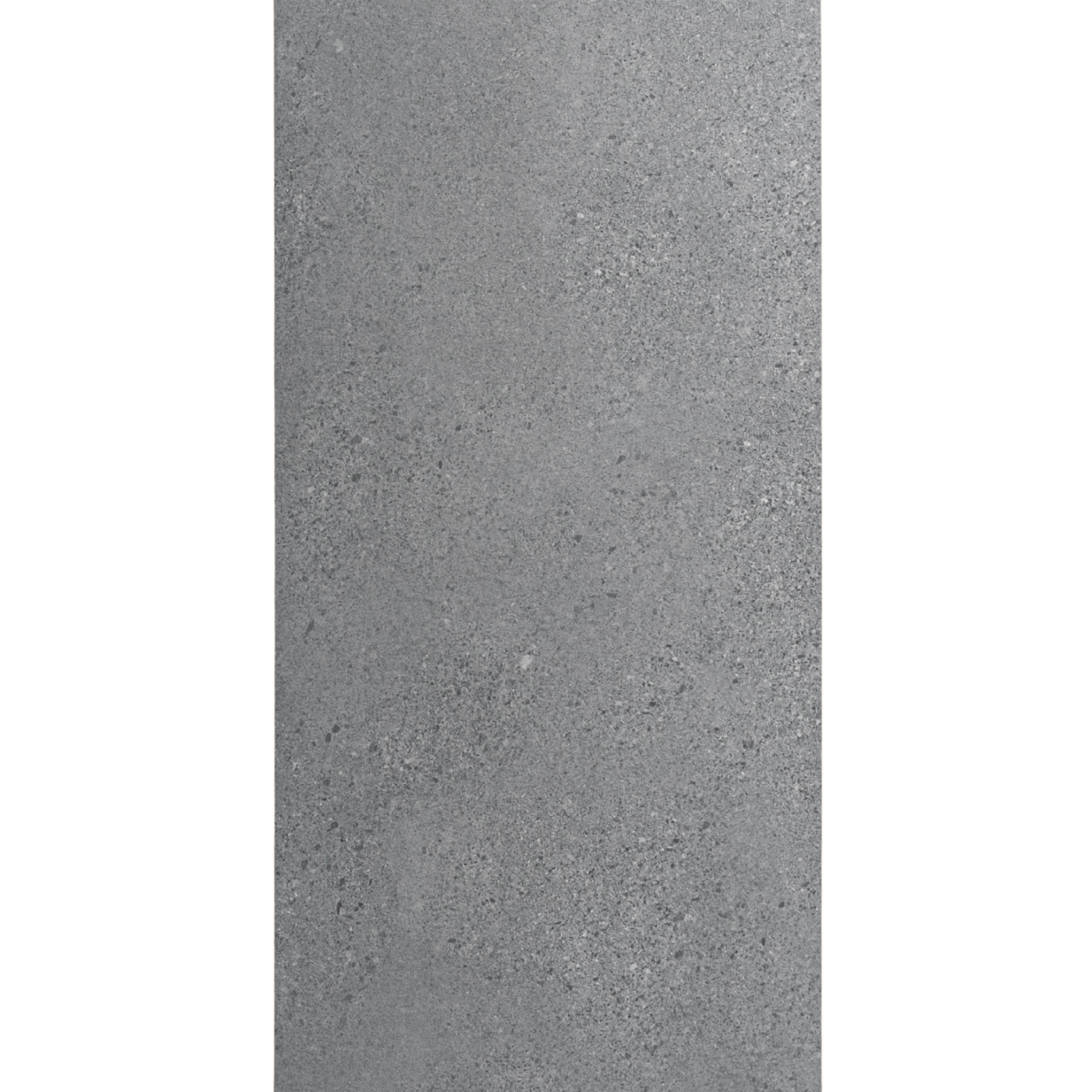 Moonstone Oyster Lappato