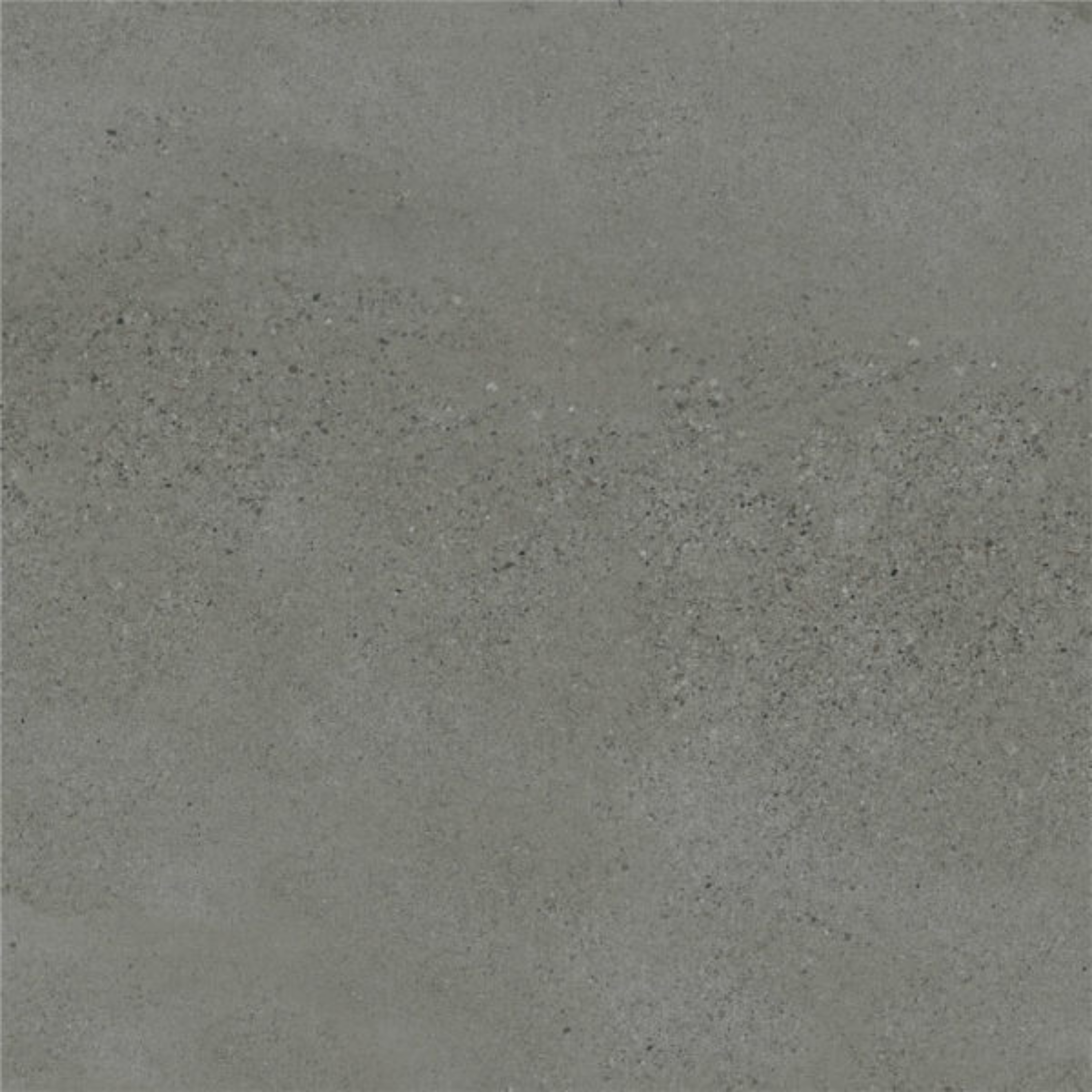 Moonstone Oyster Lappato