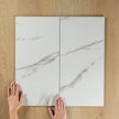 Multi Carrara Polished