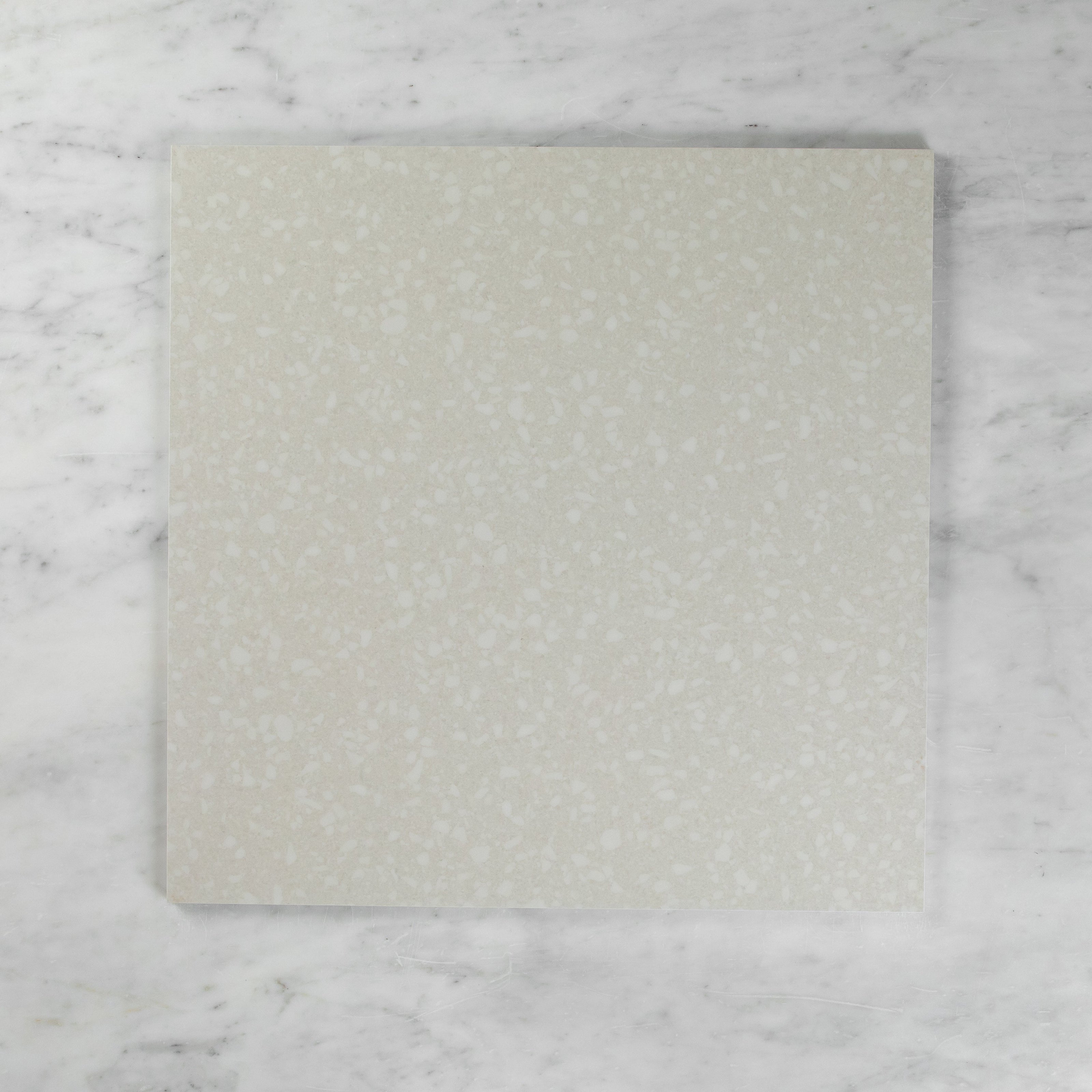 Paddington Terrazzo Light Grey Matte