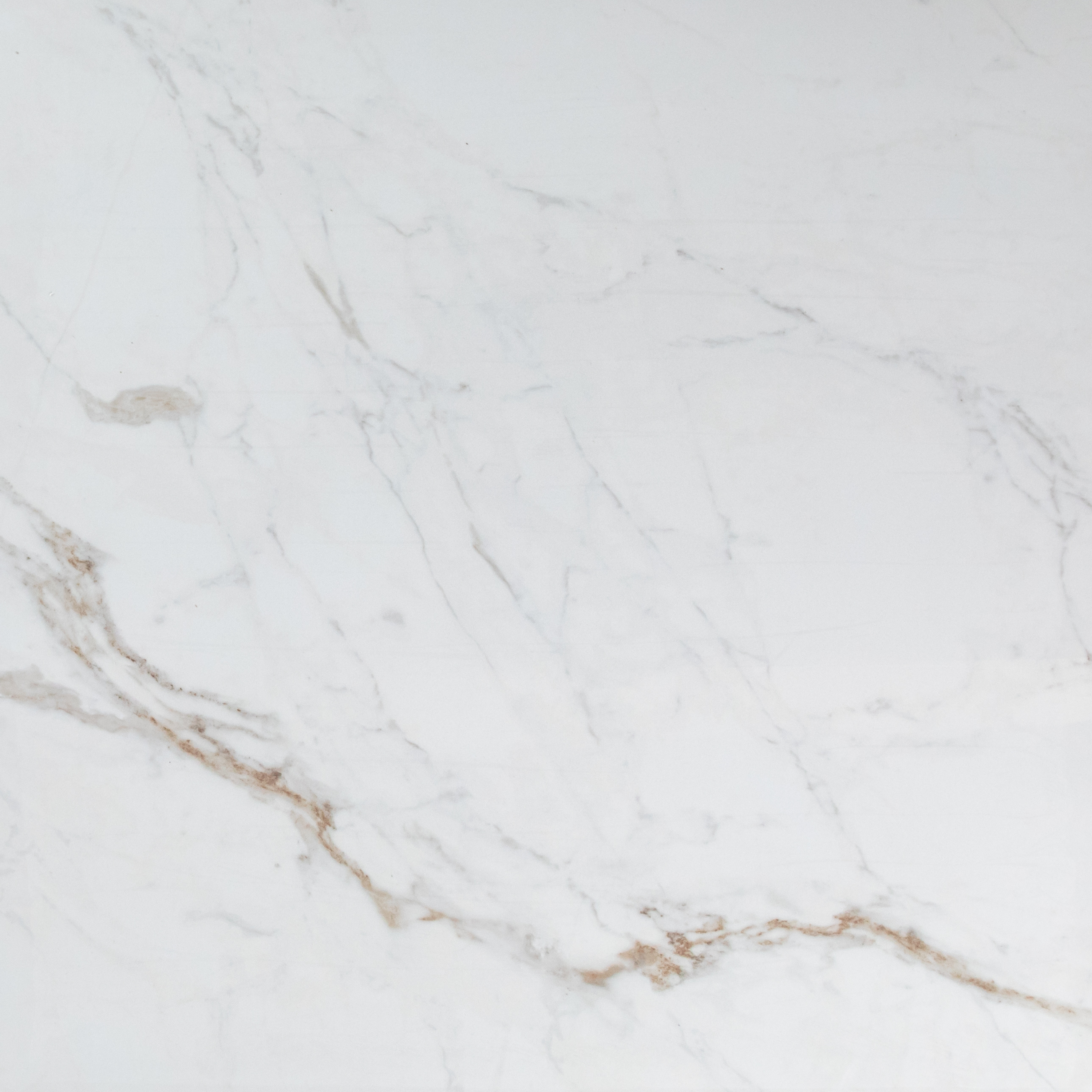 Paonazzo White Carrara Polished