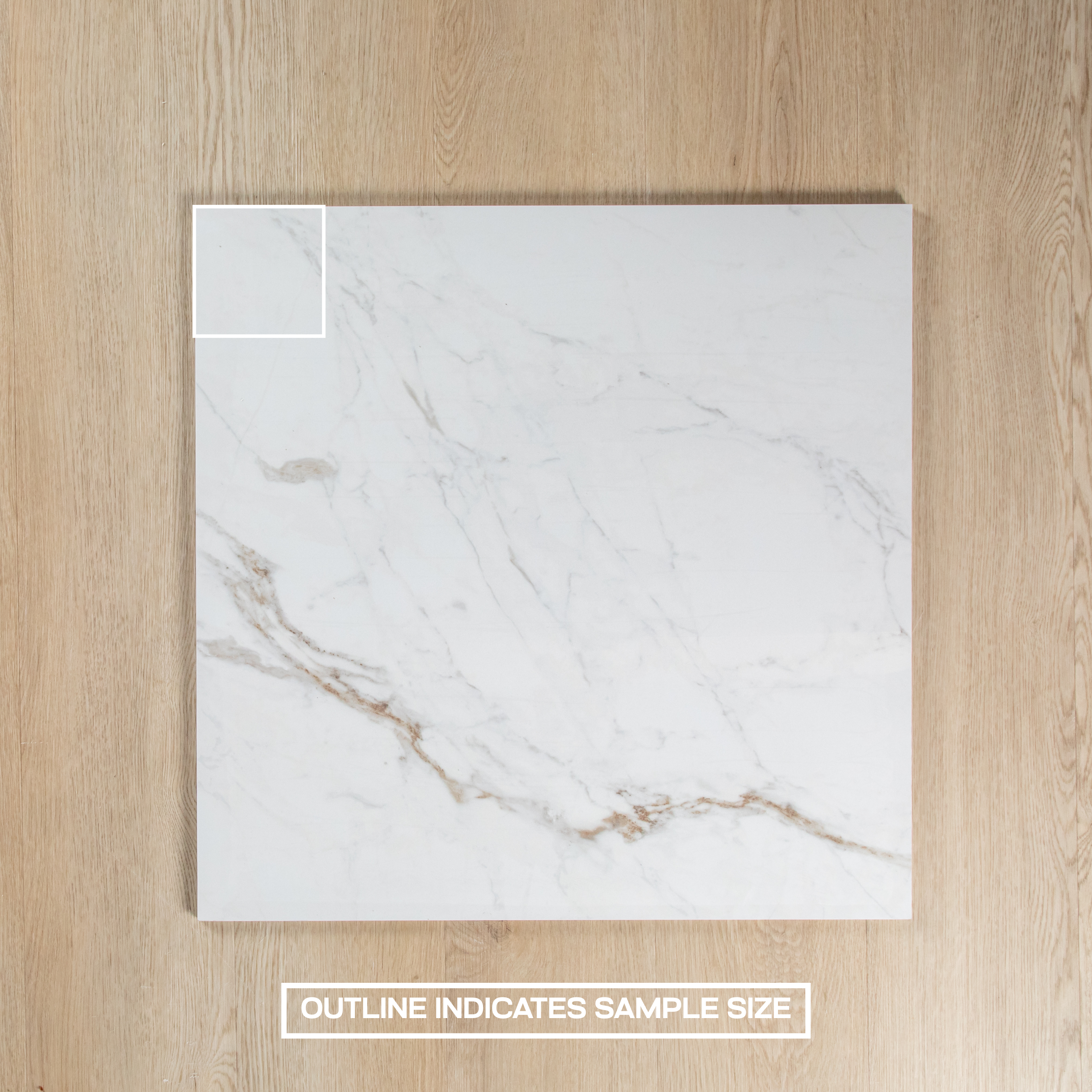 Paonazzo White Carrara Polished