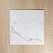 Paonazzo White Carrara Polished