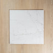 Paonazzo White Carrara Polished