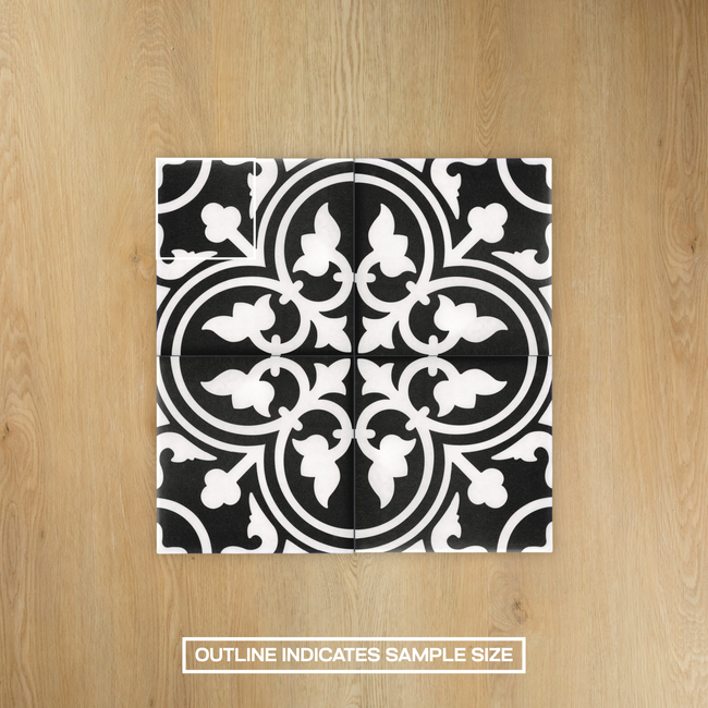 Picasso Shadow Black