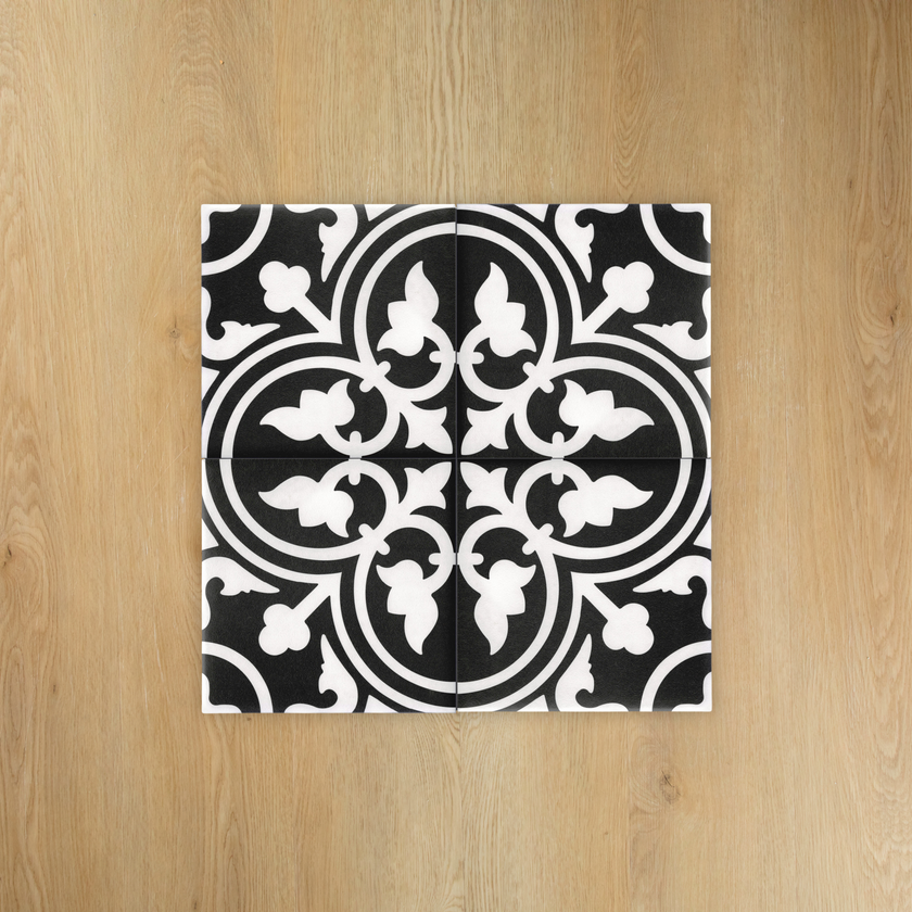 Picasso Shadow Black