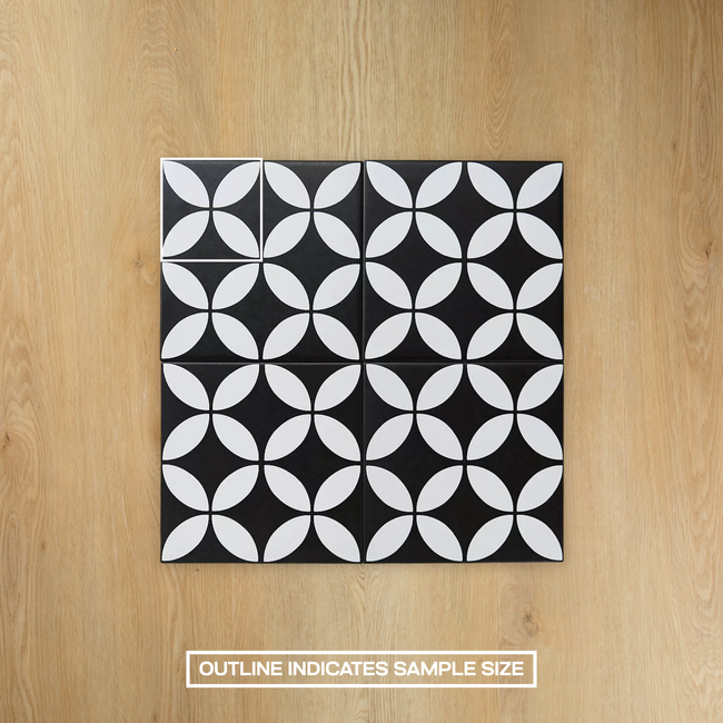 Picasso Star Black