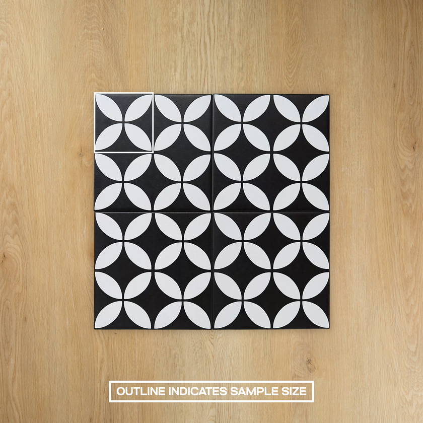 Picasso Star Black