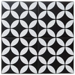 Picasso Star Black