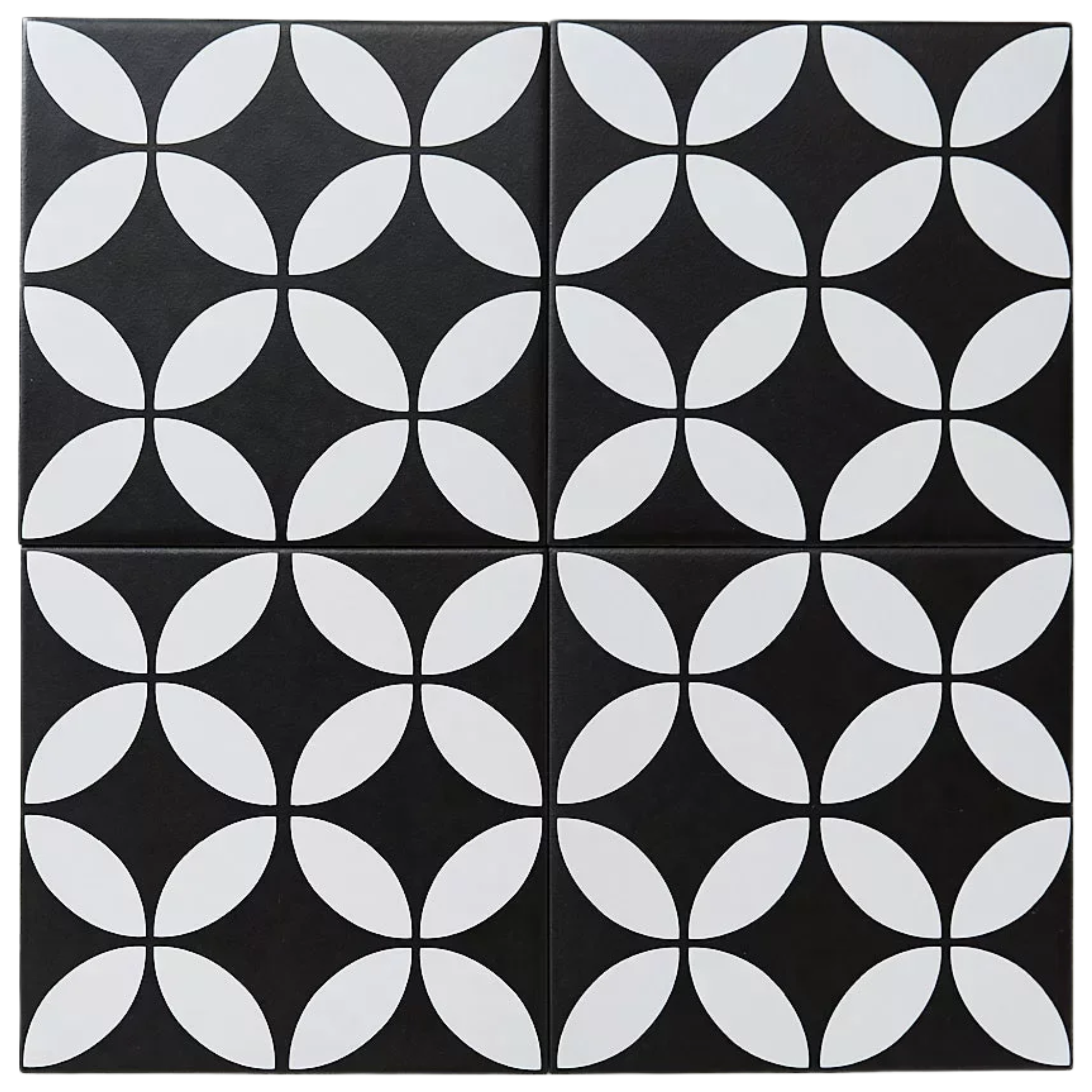 Picasso Star Black