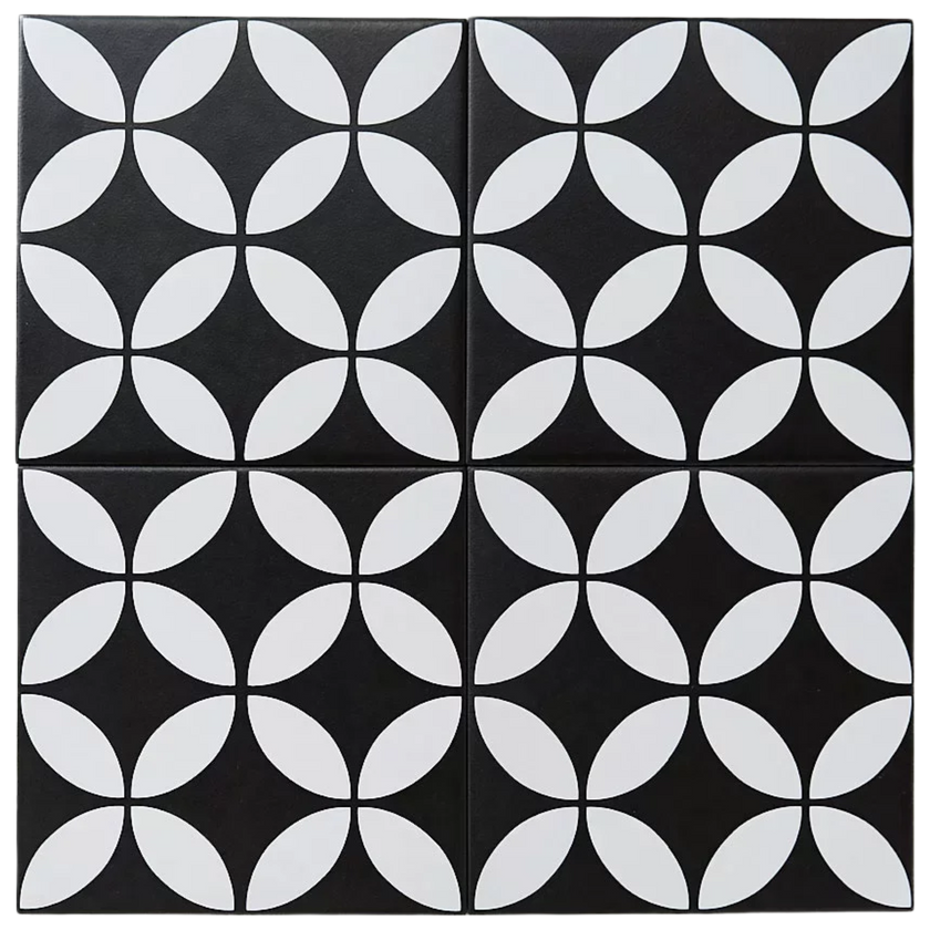 Picasso Star Black