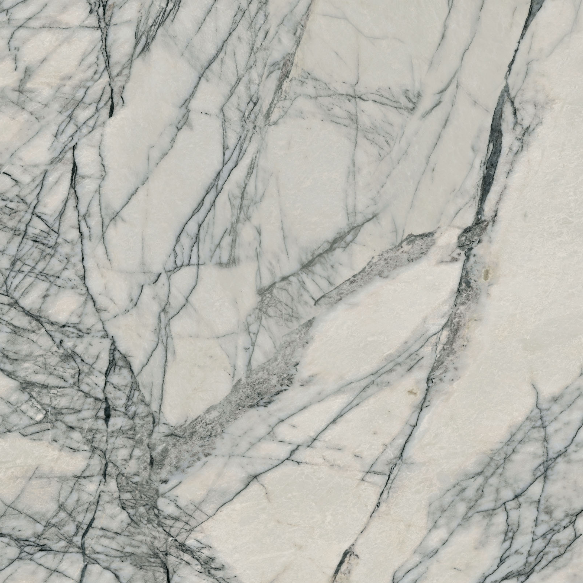 Sensi Signoria Lilac Grey Natural