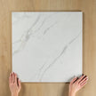 Spring Carrara Polished