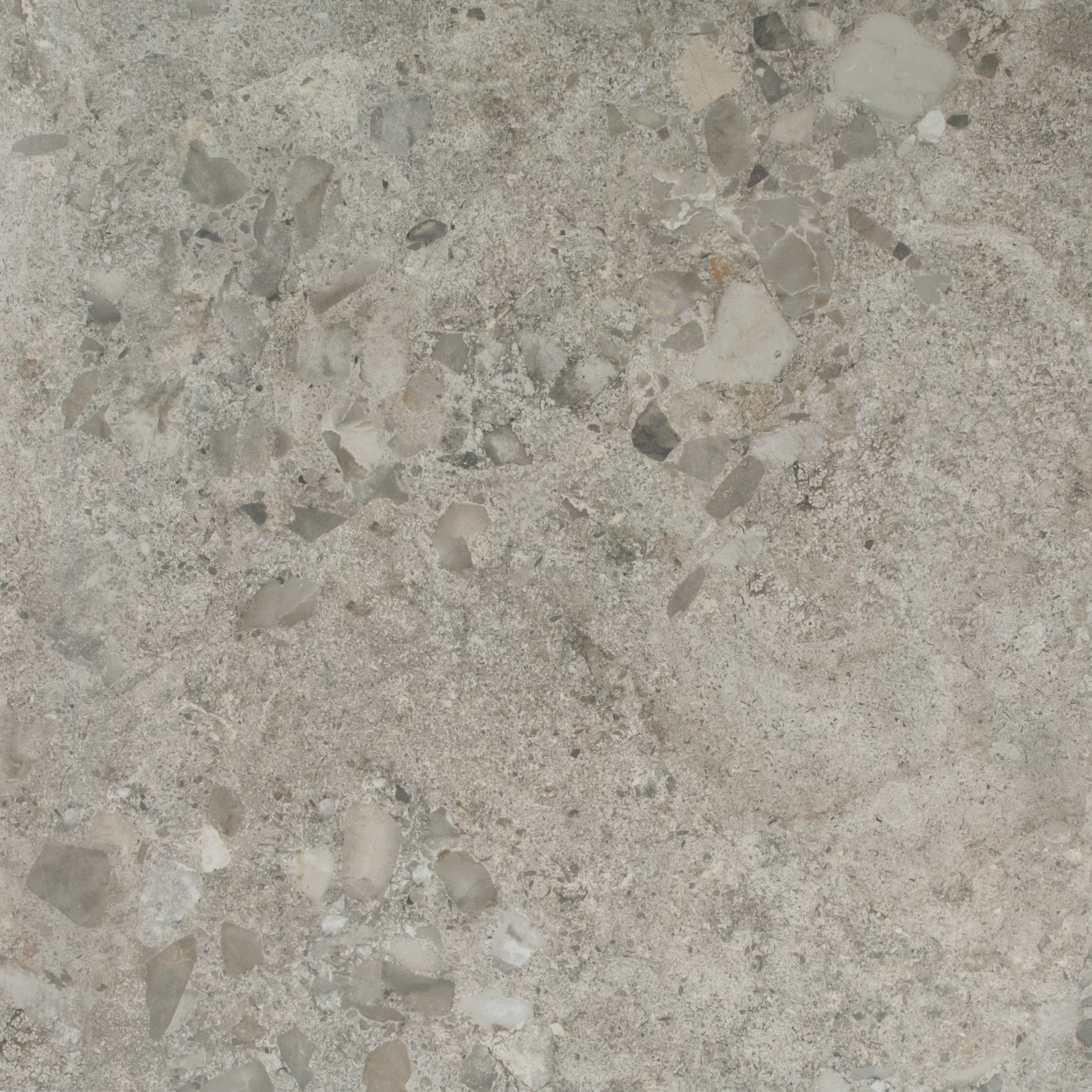 Terrazzo Positano Grey Matte