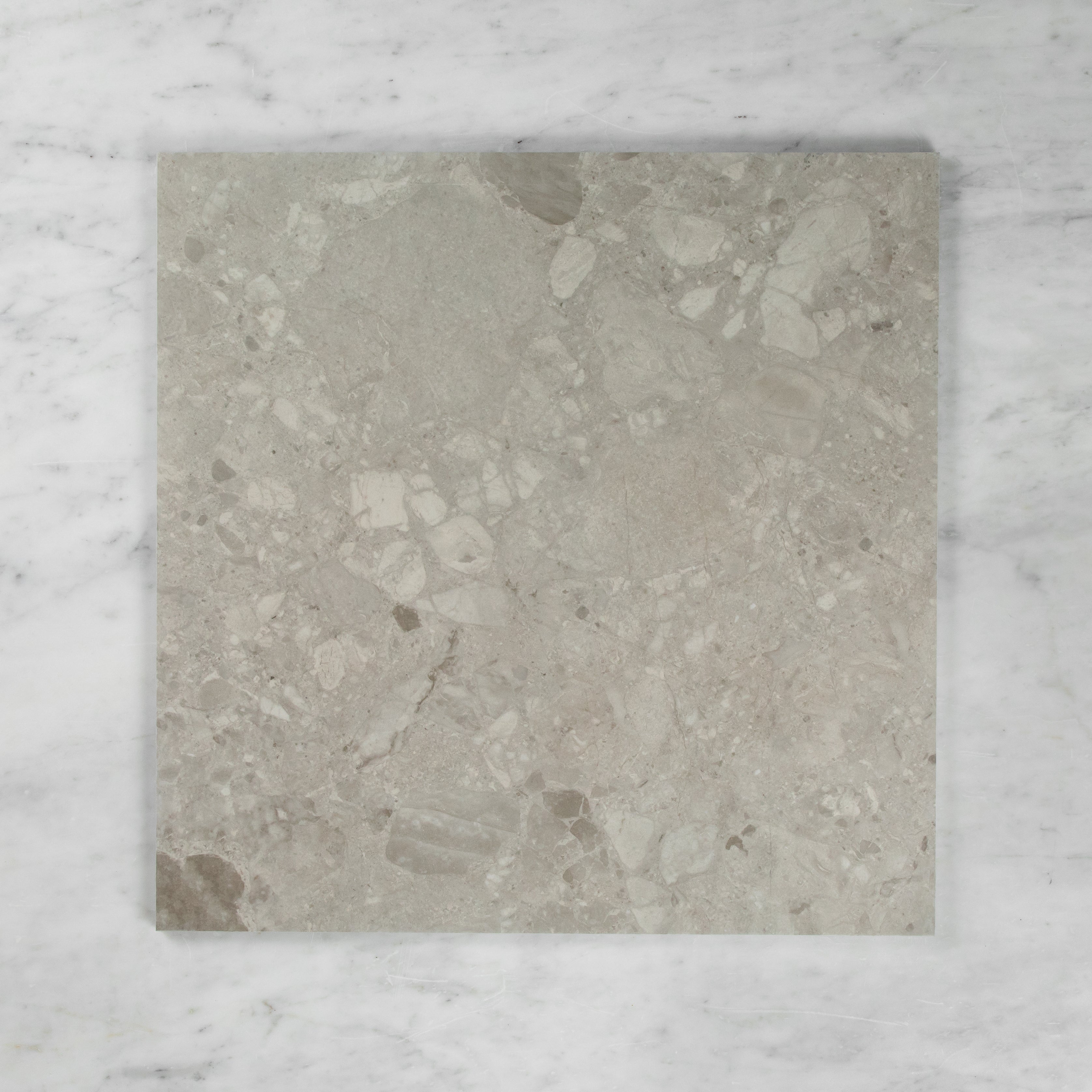 Terrazzo Stone Light Grey In Out