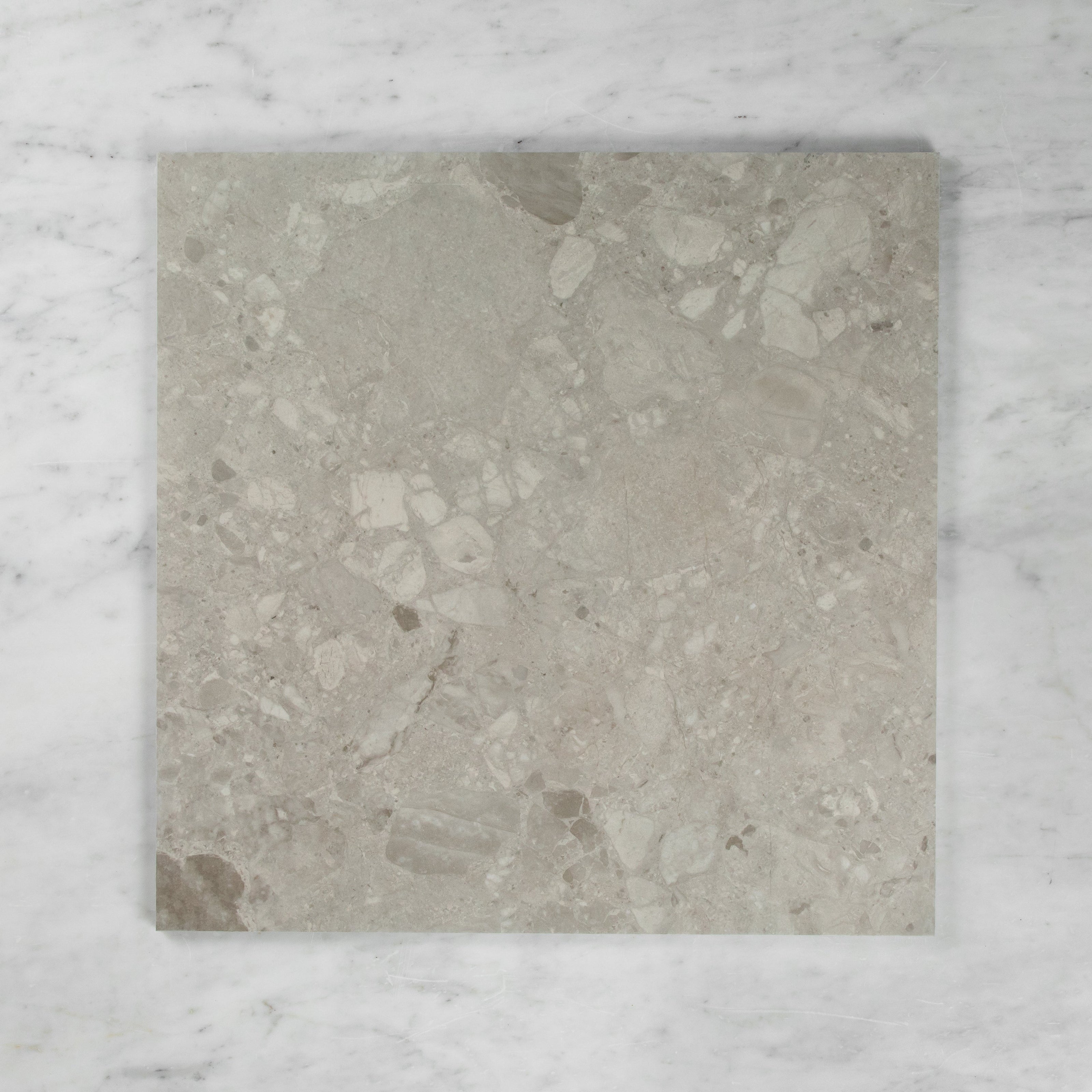 Terrazzo Stone Light Grey In Out