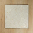 Terrazzo Stone Marshmallow In Out