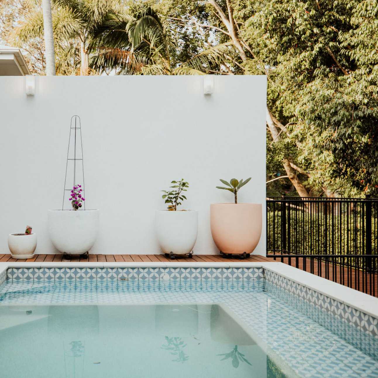 Picasso Star Baby Blue