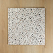 Vicenza Terrazzo Bianco In Out
