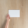White Gloss Pressed Edge