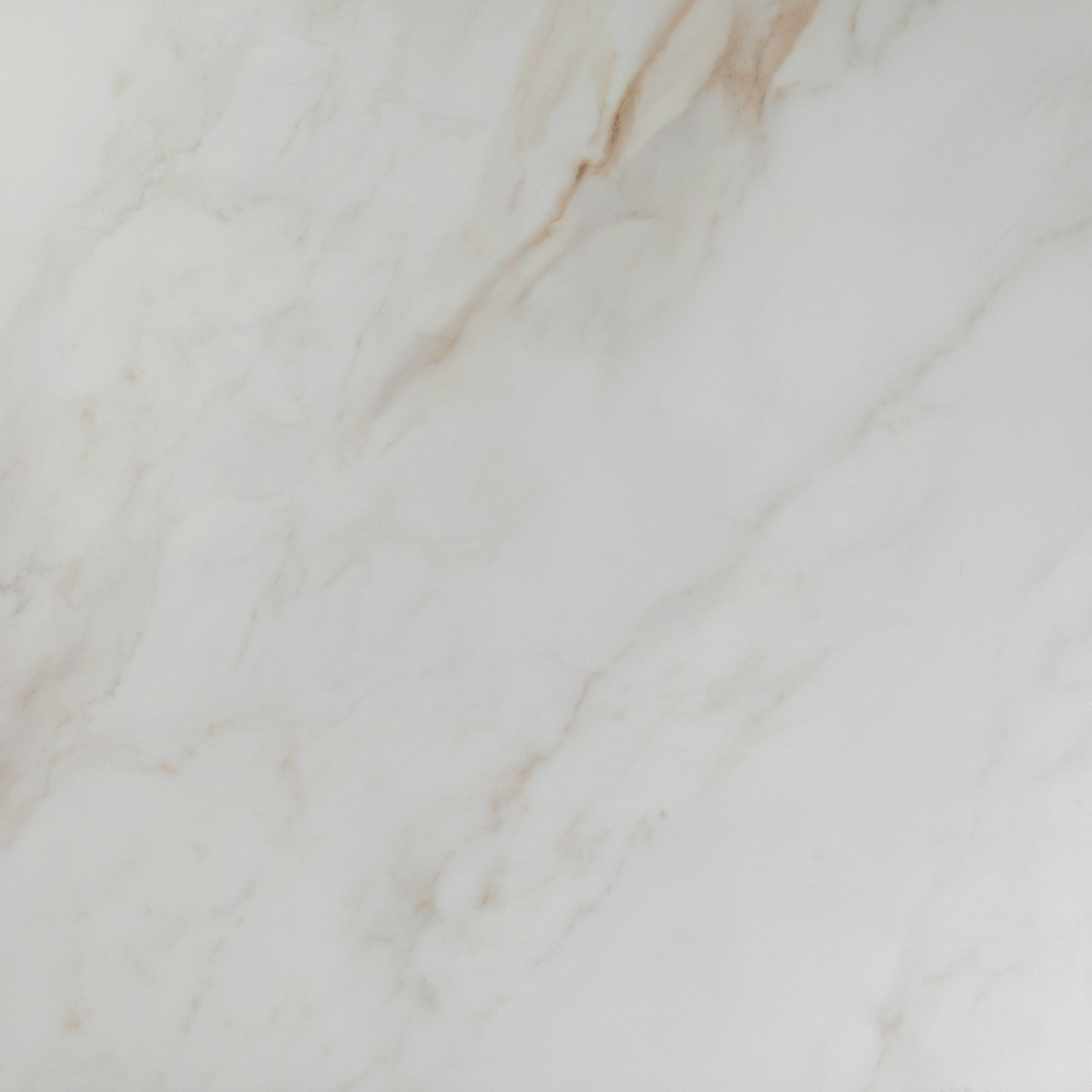 White Plus Calacatta Gold Polished