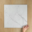 White Plus Calacatta Matte