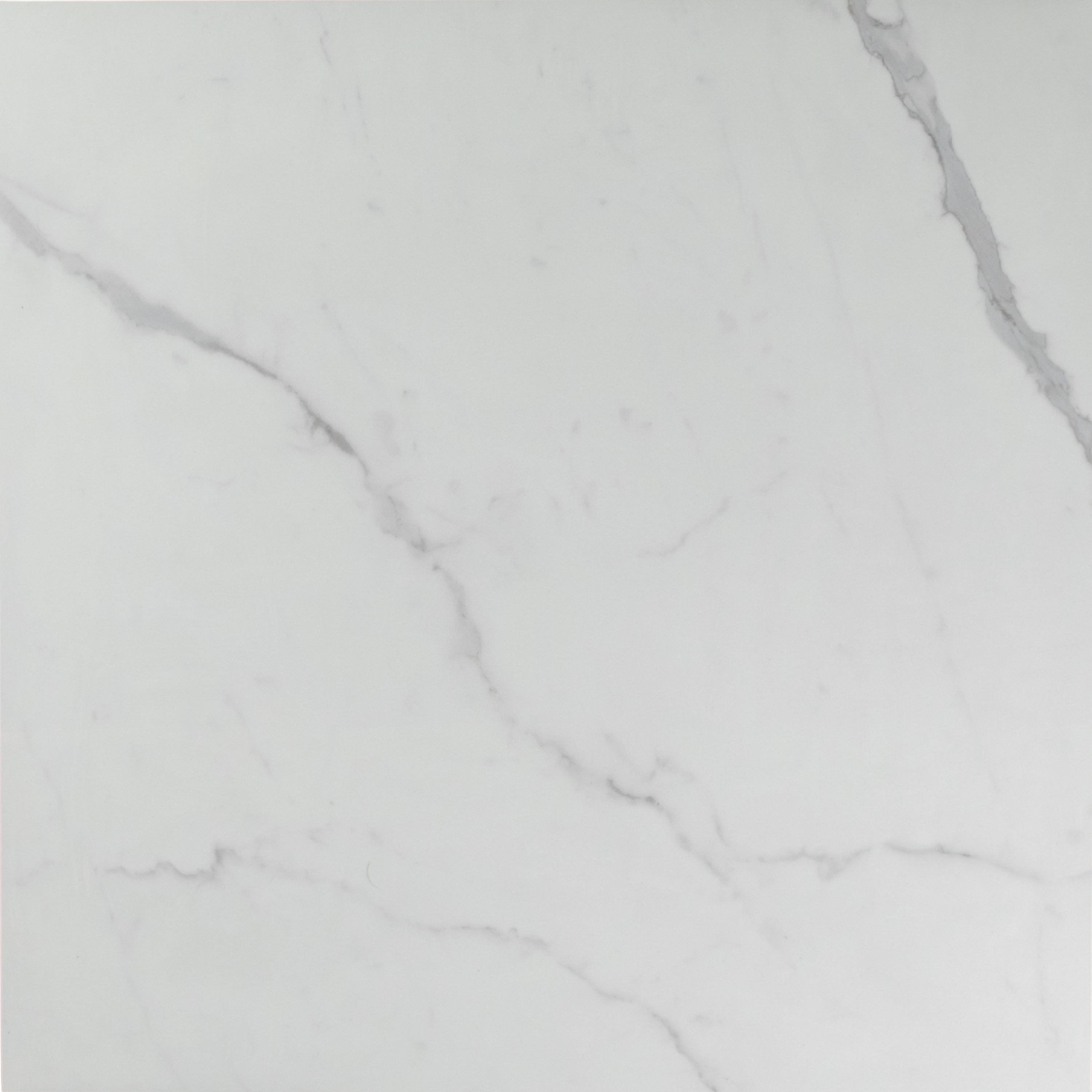 White Plus Calacatta Polished