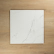 Winter Carrara Polished